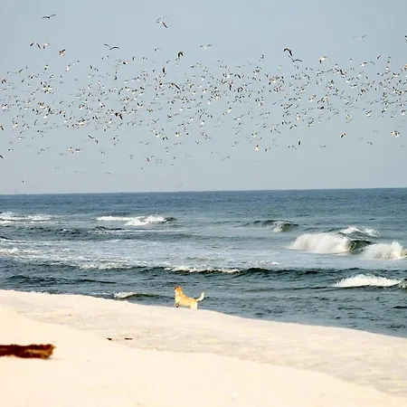 White Pearl 3.02 Apartamento *