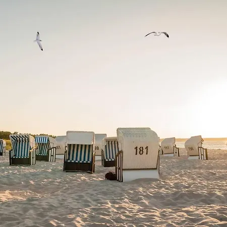 Διαμέρισμα White Pearl 3.02 *