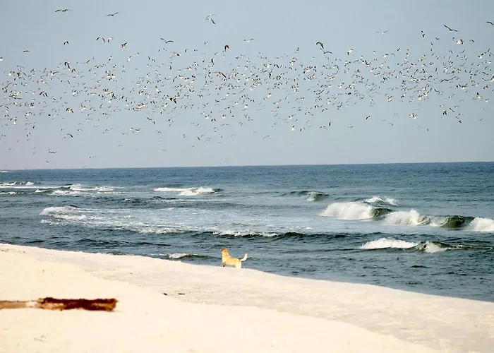 White Pearl 3.02 Apartamento *